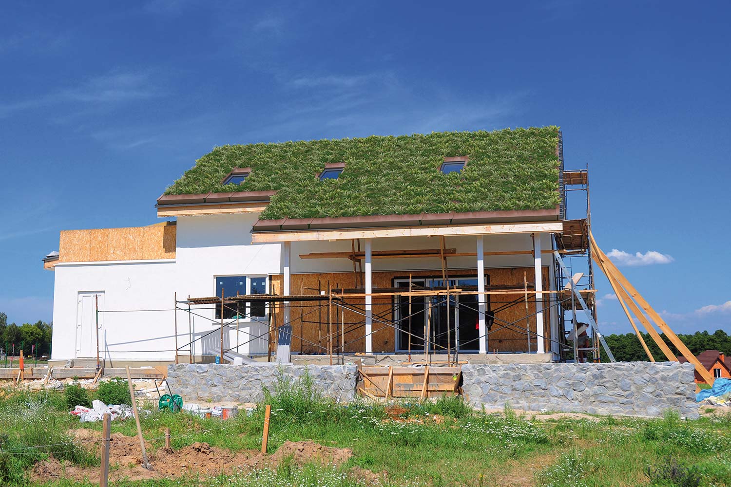 verde urbano per copertura tetto