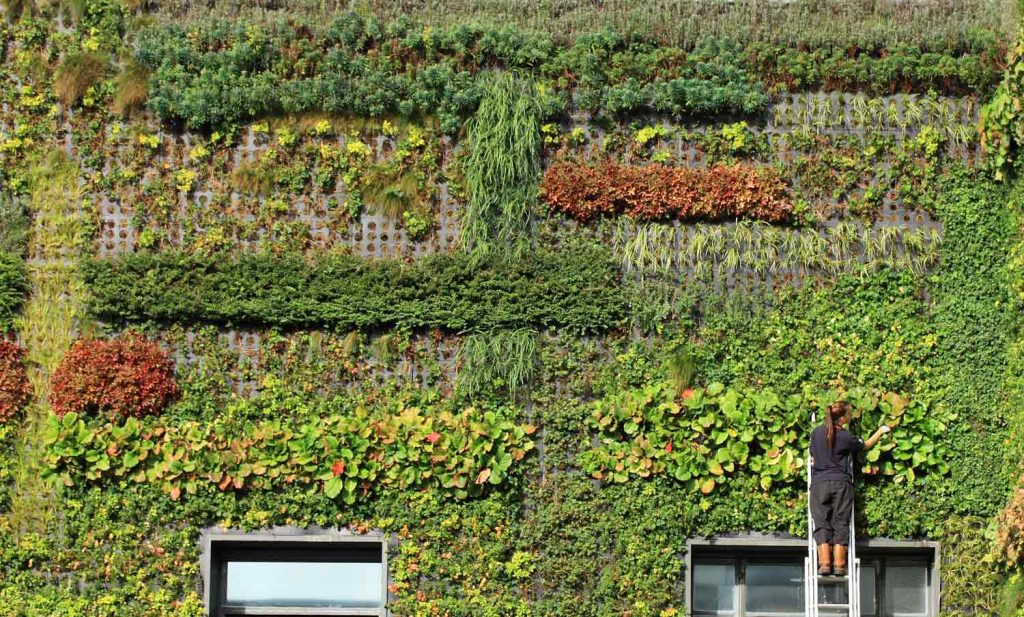 Orti verticali: i vantaggi di un giardino a cielo aperto