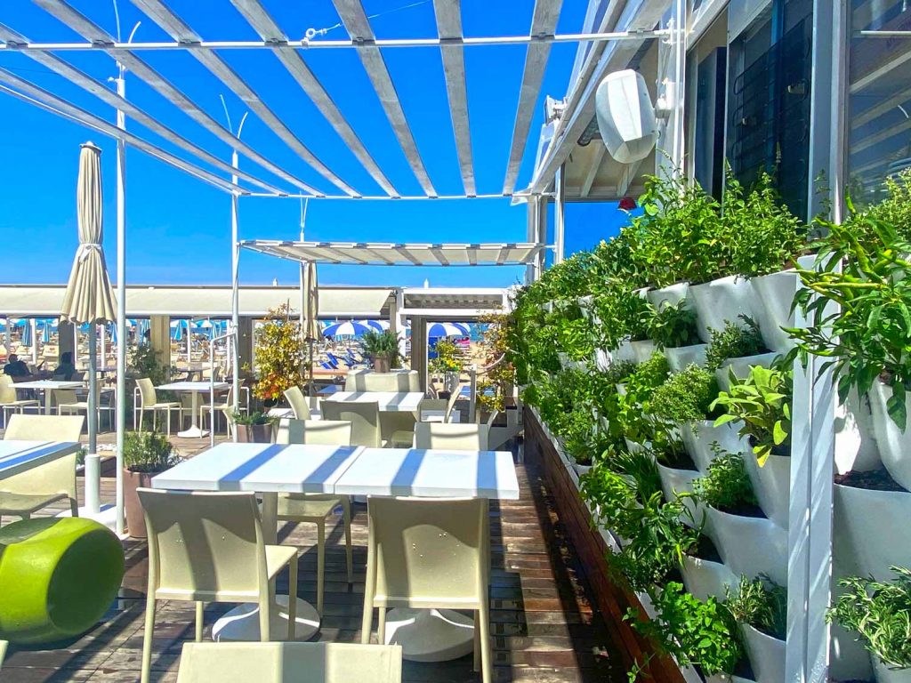 Verde verticale al mare: quando le spiagge diventano green